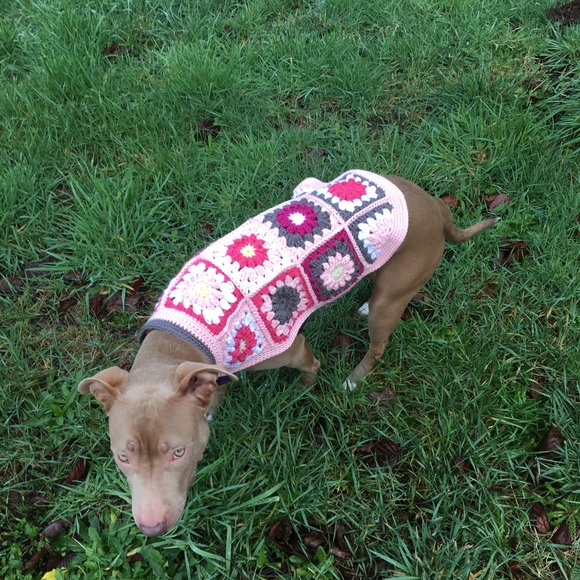 Colorful Crochet Dog Sweater - Picture 3 of 6